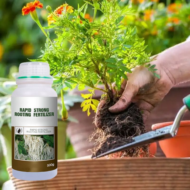 Boostez l‘enracinement ! 🌱 Des racines ultra-rapides et solides ! 💪