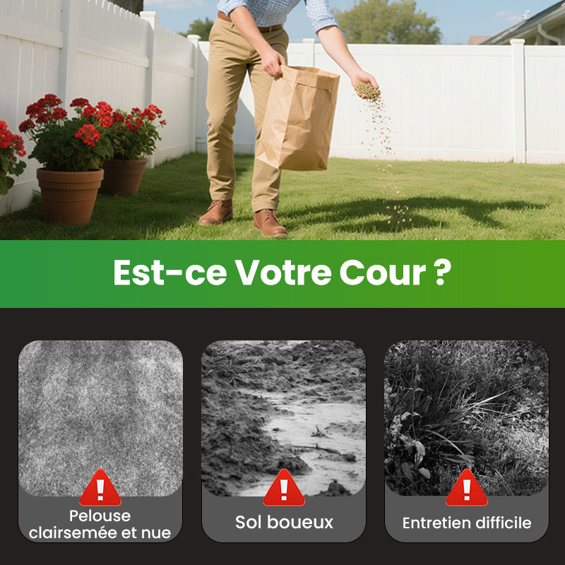 💥50% OFF🌱⛳️ Graines de Gazon Premium : Pour une Pelouse Impeccable & les Terrains de Golf