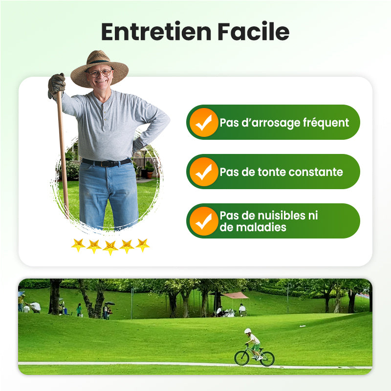 💥50% OFF🌱⛳️ Graines de Gazon Premium : Pour une Pelouse Impeccable & les Terrains de Golf
