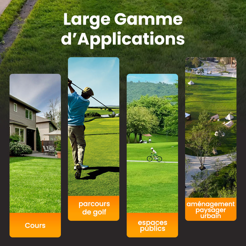 💥50% OFF🌱⛳️ Graines de Gazon Premium : Pour une Pelouse Impeccable & les Terrains de Golf