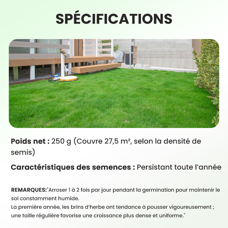 💥50% OFF🌱⛳️ Graines de Gazon Premium : Pour une Pelouse Impeccable & les Terrains de Golf