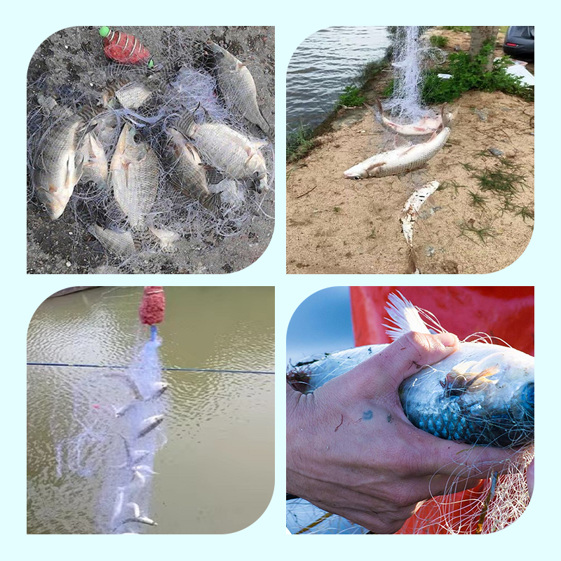 Fishing Gill Net with Spring Bait Trap