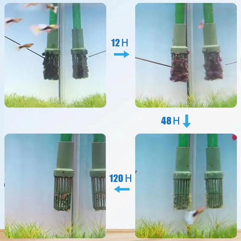 Algicide efficace pour aquarium🌿