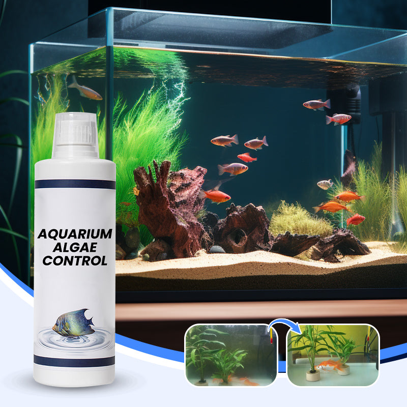 🏆✨Achetez 3 obtenez 2 gratuit💧Puissant clarificateur d'eau pour aquarium