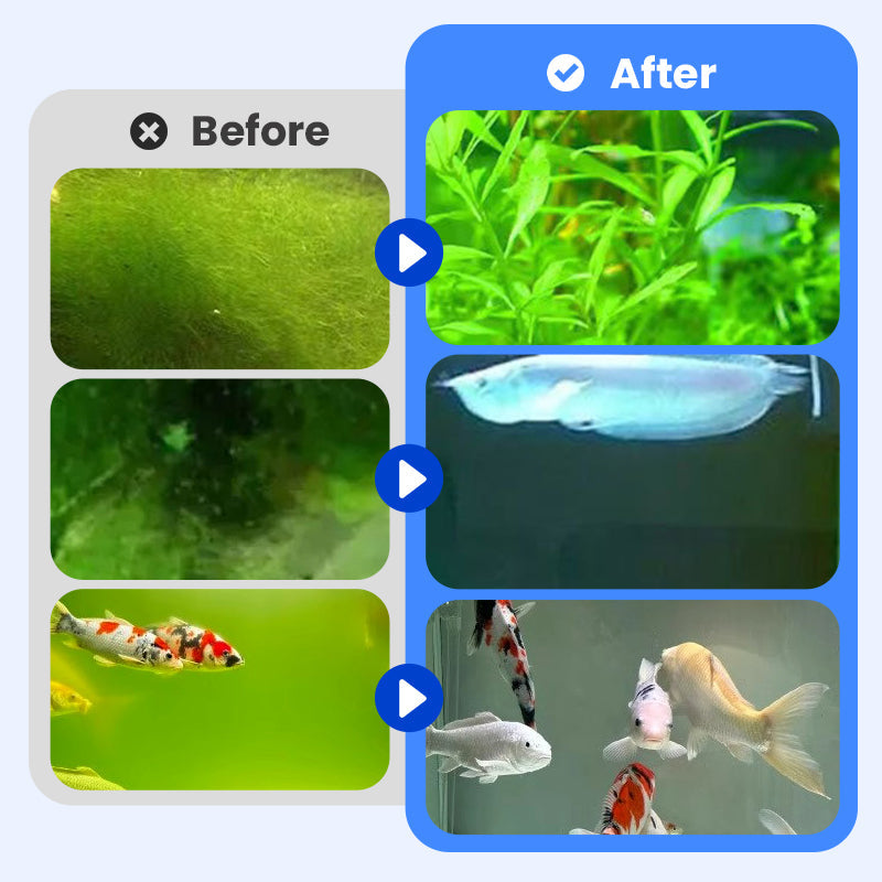 🏆✨Achetez 3 obtenez 2 gratuit💧Puissant clarificateur d'eau pour aquarium