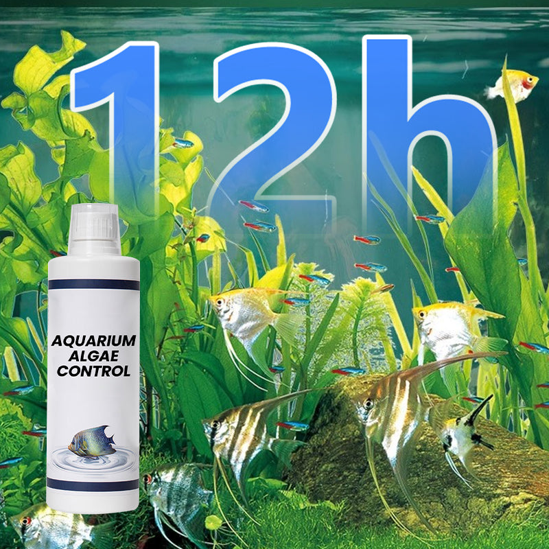 🏆✨Achetez 3 obtenez 2 gratuit💧Puissant clarificateur d'eau pour aquarium