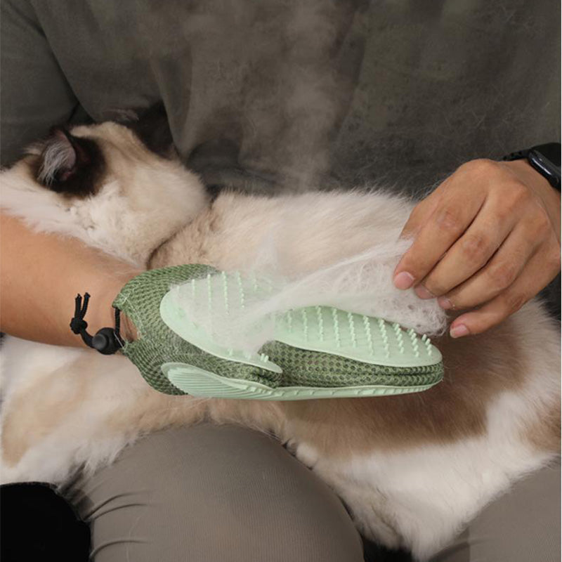 💝Hot Sale 50% OFF 💝 Gants de toilettage pour chiens et chats avec spray intégré🐾🧤