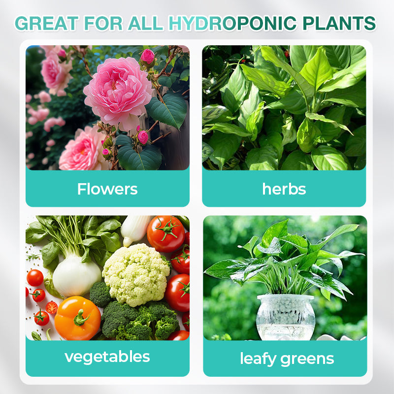 🔥Solution nutritive hydroponique pour la croissance des plantes☘️💦