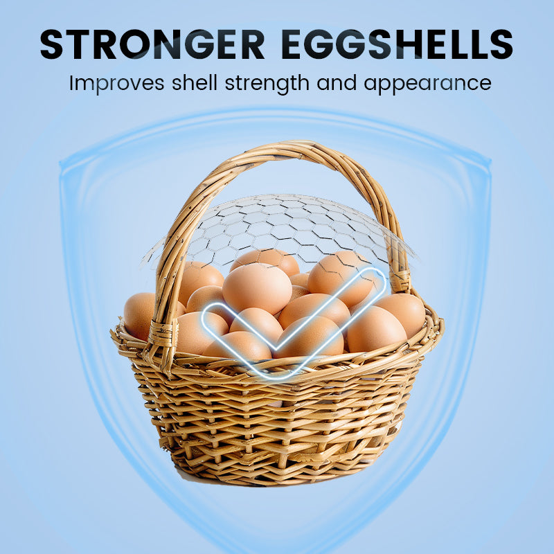 🏆Supplément alimentaire pour une production d'œufs améliorée🥚💪