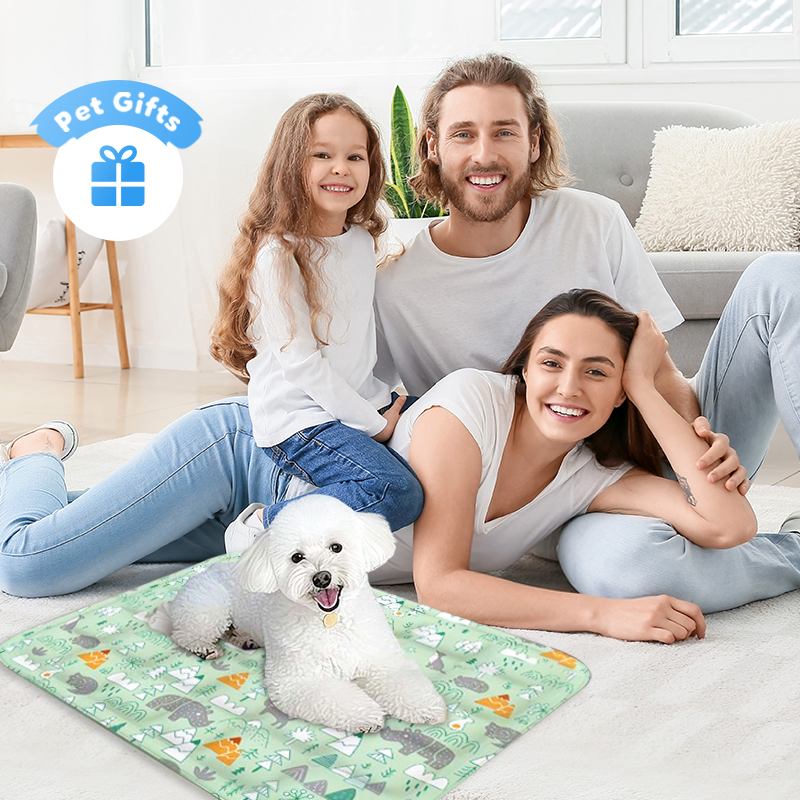 Tapis de refroidissement durable en forme de dessin animé pour animaux de compagnie 🐾❄️