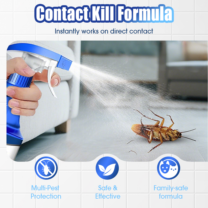 🏆Spray Répulsif Anti-Insectes🧴🌿