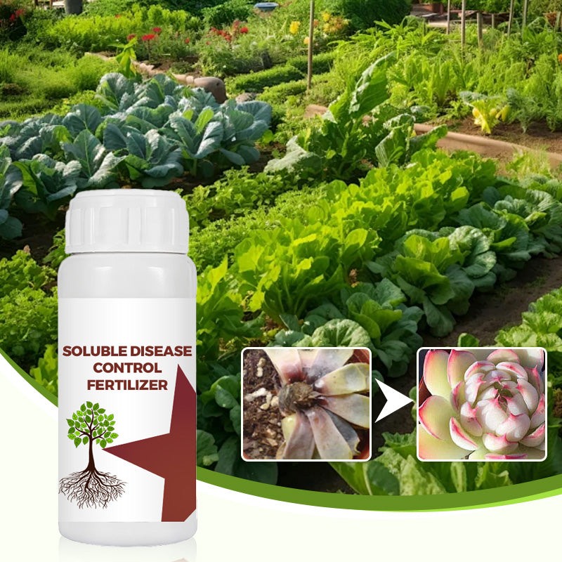 🌺Engrais soluble pour le contrôle des maladies🌱🛡️