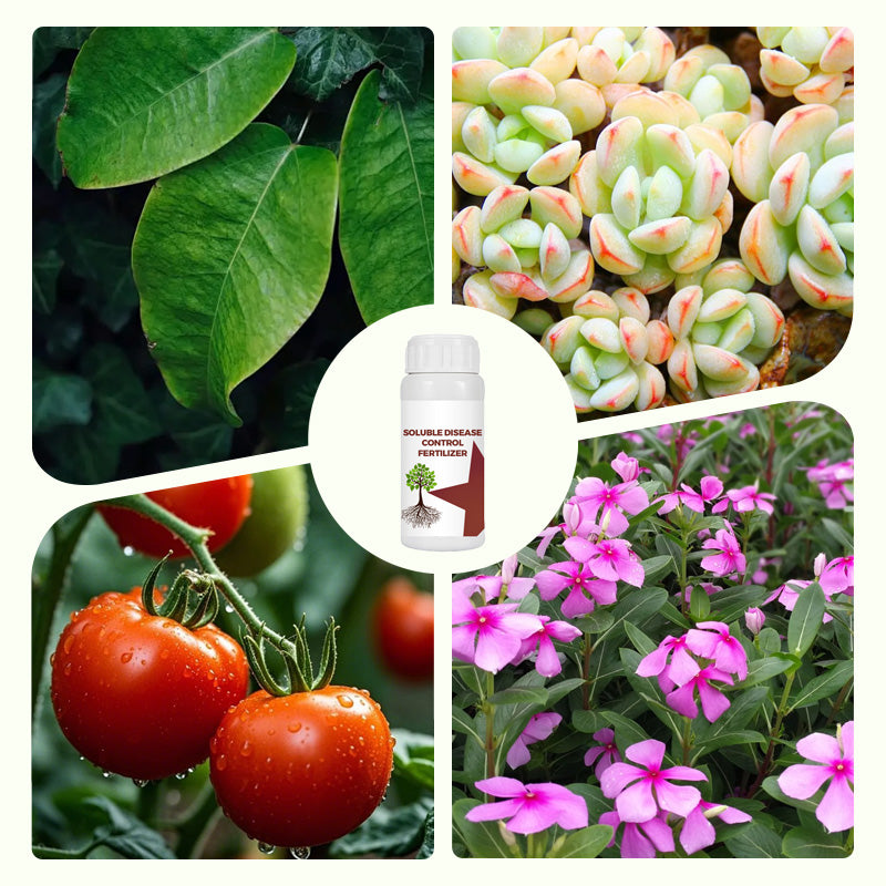 🌺Engrais soluble pour le contrôle des maladies🌱🛡️