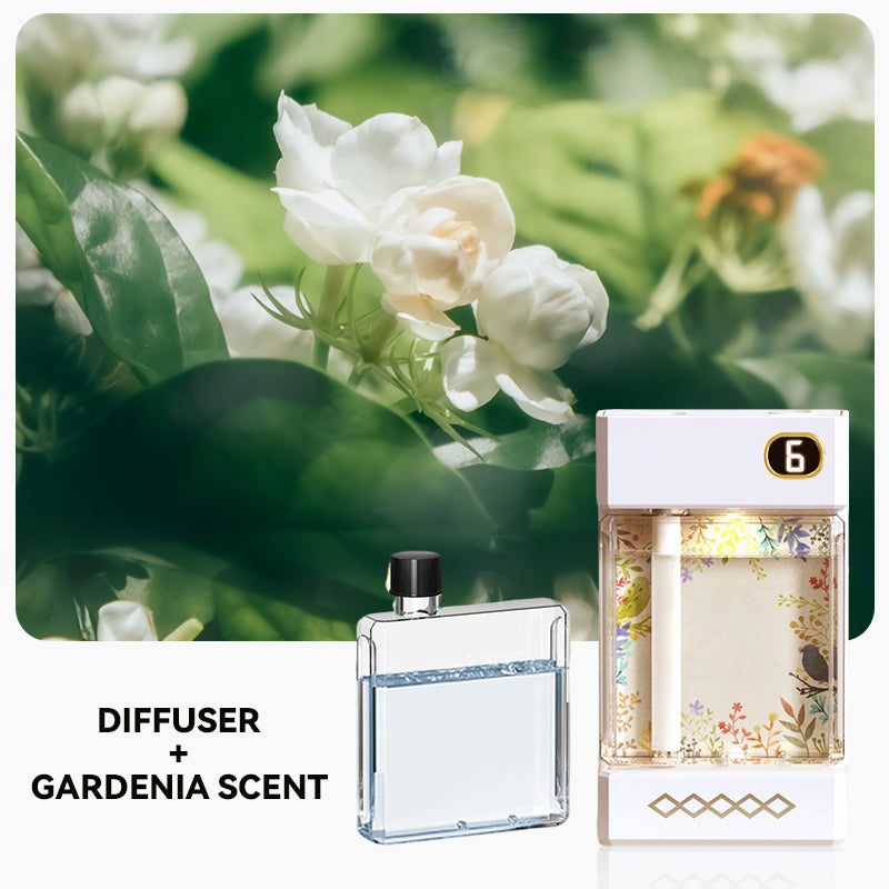 🏆Diffuseur d'aromathérapie rechargeable par USB🌿👑