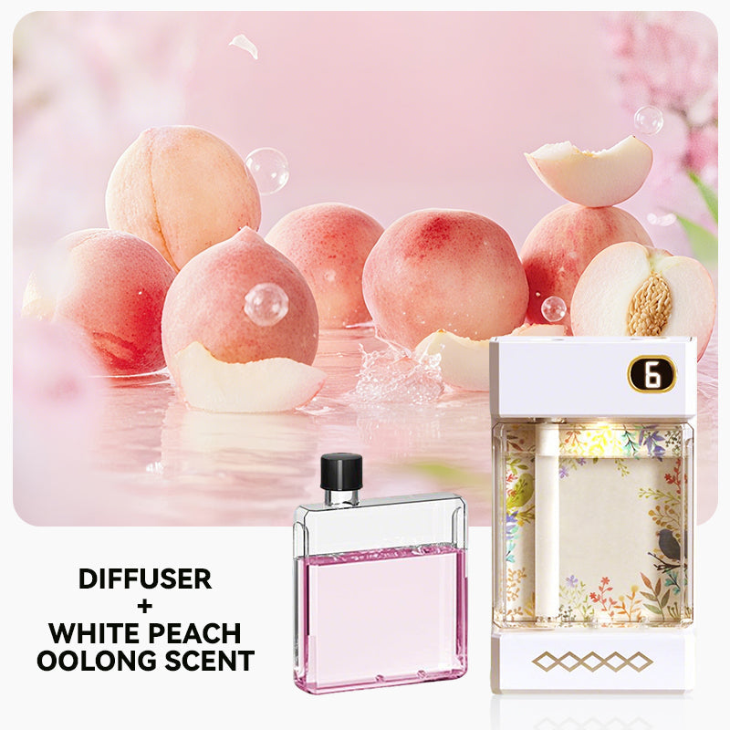 🏆Diffuseur d'aromathérapie rechargeable par USB🌿👑