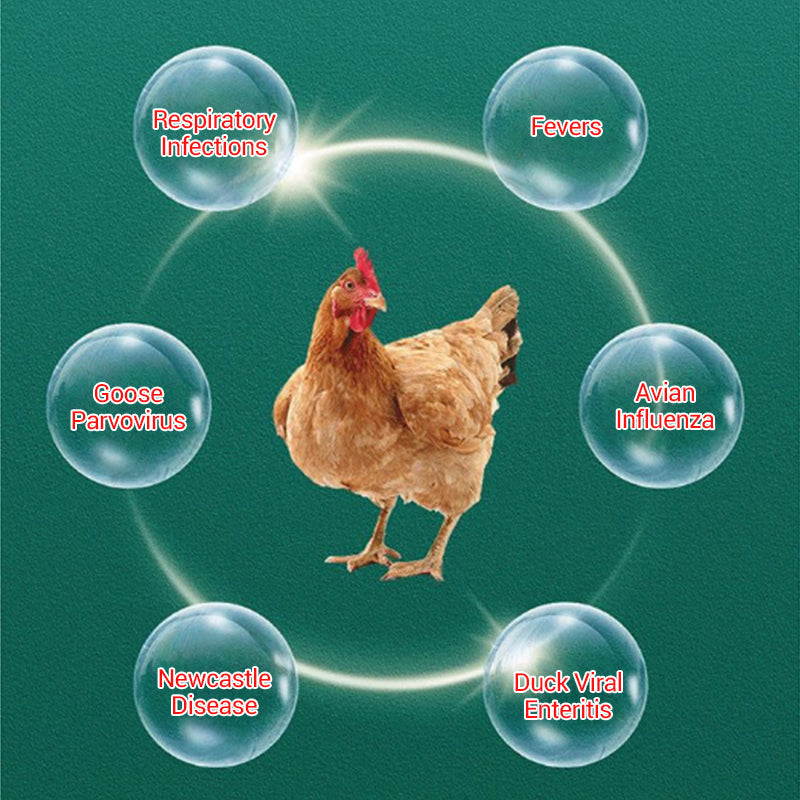 Solution orale multisymptomatique pour volailles