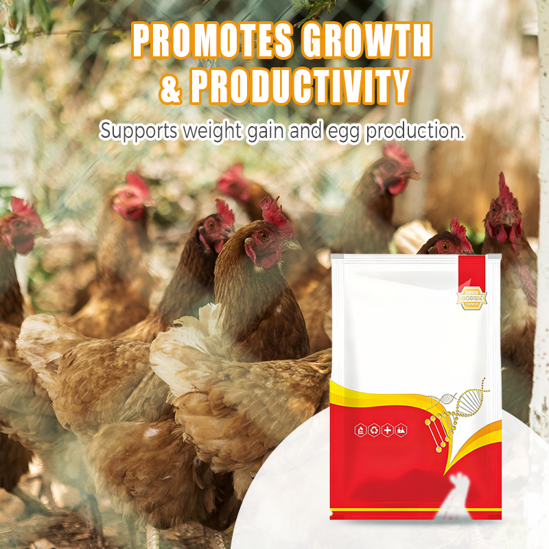 🐔 Vermifuge 100% Naturel pour Poulets : La Solution Complète Contre les Parasites Internes et Externes ! 🌿✨