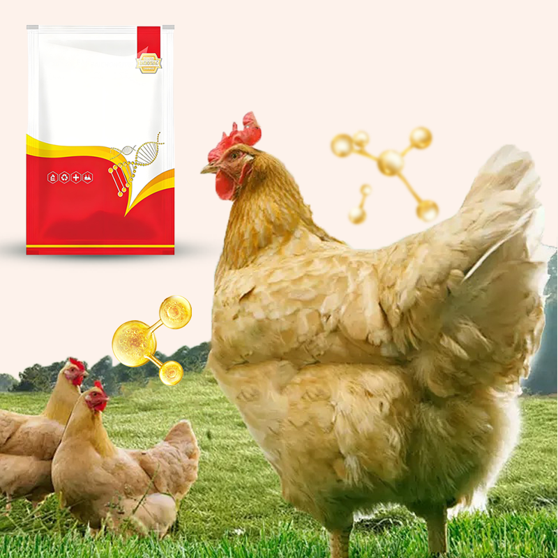 🐔 Vermifuge 100% Naturel pour Poulets : La Solution Complète Contre les Parasites Internes et Externes ! 🌿✨