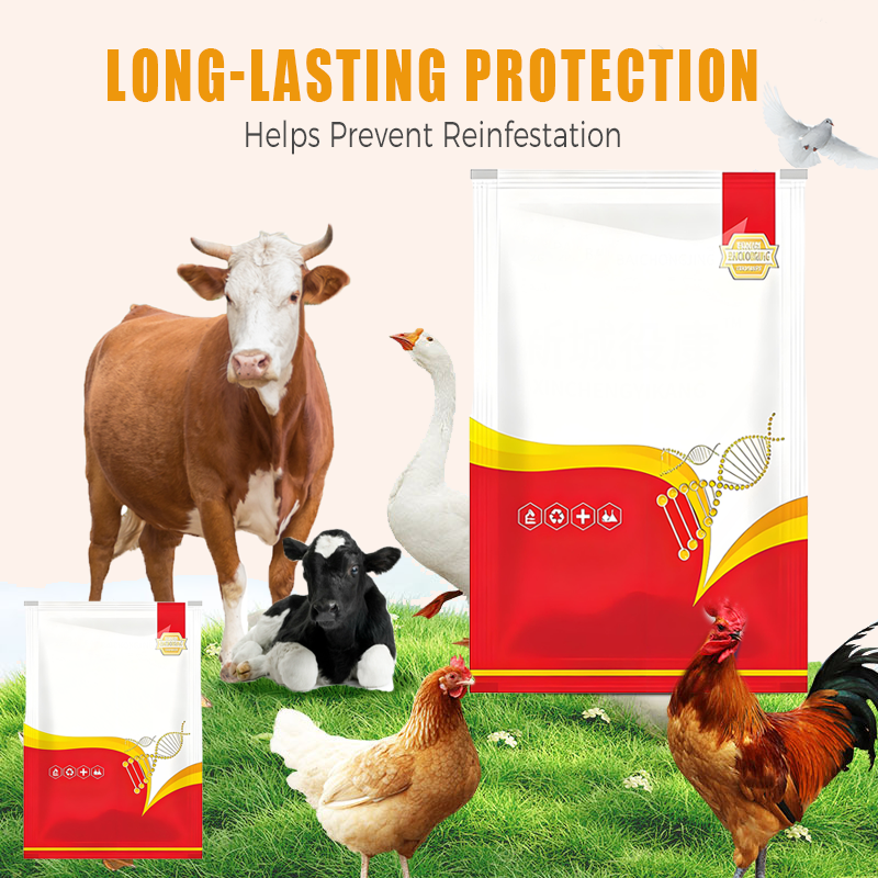 🐔 Vermifuge 100% Naturel pour Poulets : La Solution Complète Contre les Parasites Internes et Externes ! 🌿✨