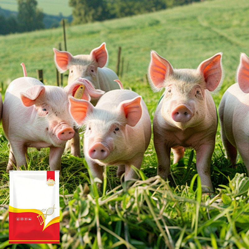 🐔 Vermifuge 100% Naturel pour Poulets : La Solution Complète Contre les Parasites Internes et Externes ! 🌿✨
