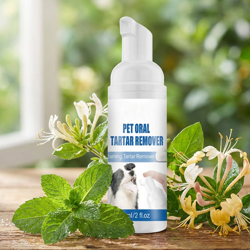 ✨ Mousse détartrante pour l'hygiène bucco-dentaire des animaux