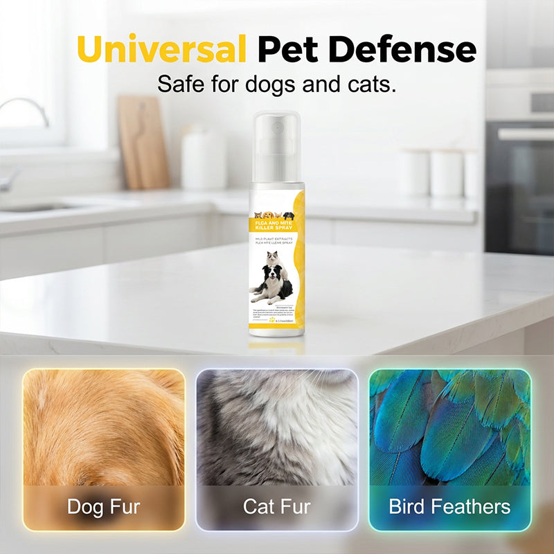 đ„50 % de rĂ©duction le dernier jour !đ„Spray antiparasitaire doux pour animaux de compagnie