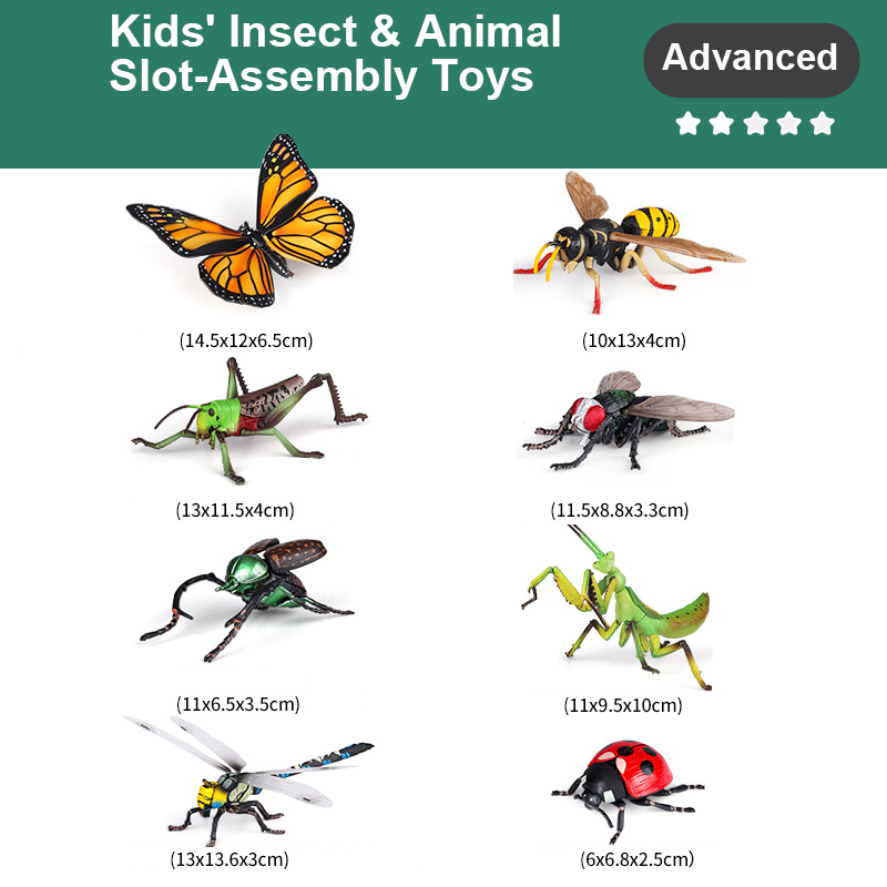 🐞Jouets à assembler pour enfants sur le thème des insectes et des animaux