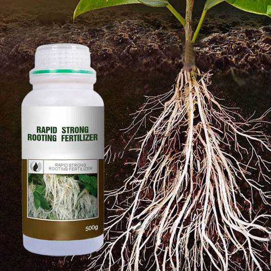 Boostez l‘enracinement ! 🌱 Des racines ultra-rapides et solides ! 💪