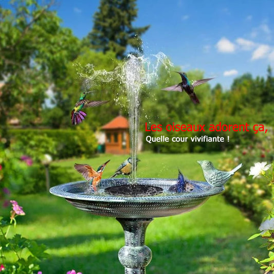 📢Promotion exceptionnelle -50%🏆Fontaines solaires pour oiseaux🐦️