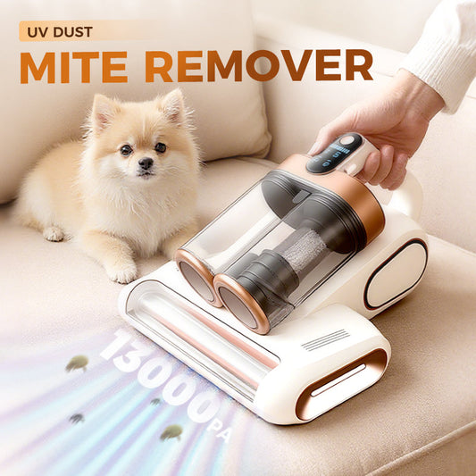 ⏳Offre spéciale à durée limitée 45% OFF！⏰Aspirateur pour matelas pour éliminer les acariens [Livraison gratuit FR]