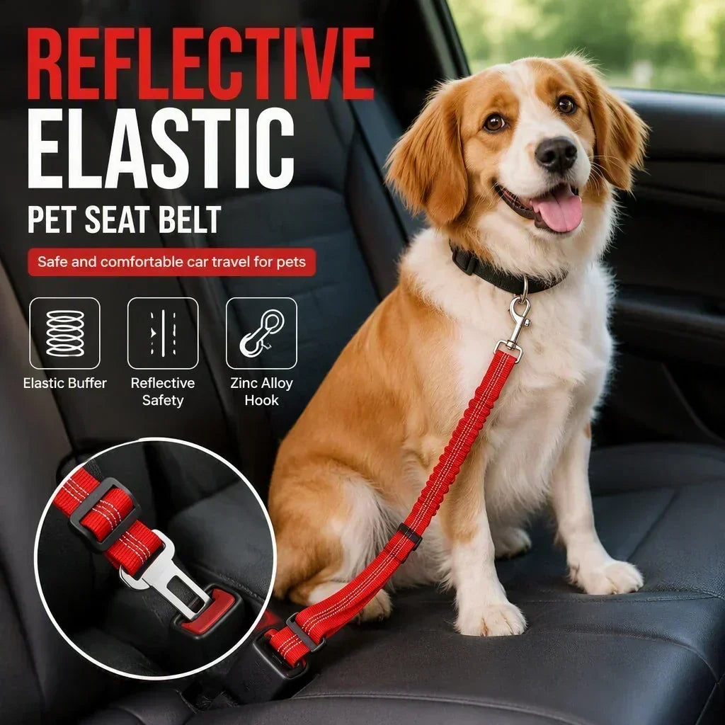 🐶🚗 Ceinture de sécurité réfléchissante et élastique pour animaux de compagnie – Système de retenue réglable pour voiture avec amortisseur de chocs