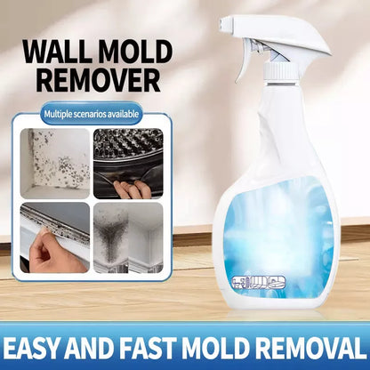 🔥Soldes 2026🔥Spray anti-moisissure hautement efficace - Empêche la réapparition des moisissures