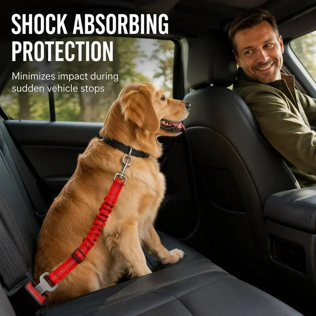 🐶🚗 Ceinture de sécurité réfléchissante et élastique pour animaux de compagnie – Système de retenue réglable pour voiture avec amortisseur de chocs