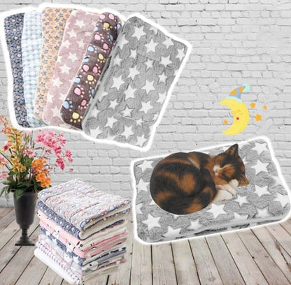 🐾Soldes exceptionnels 50 % de réduction🐱2025 Nouvelle couverture pour animaux de compagnie ultra confortable et apaisante