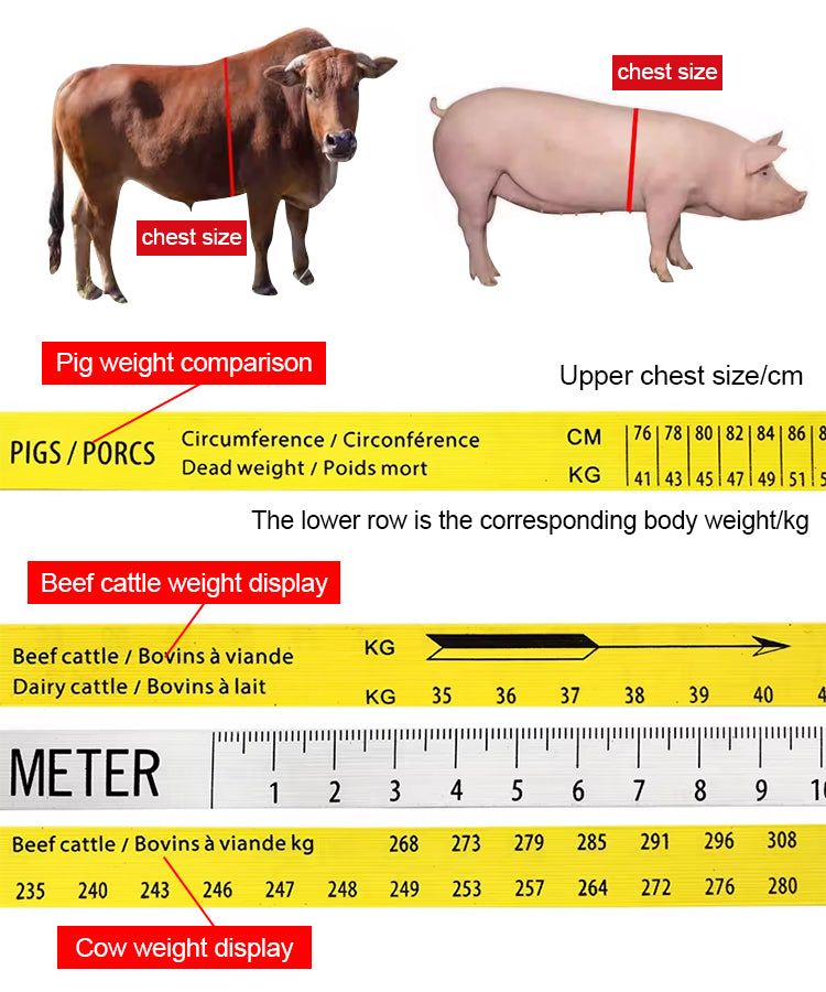 uban de mesure du poids des animaux pour bovins et porcins