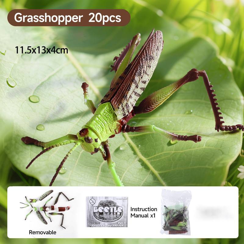 🐞Jouets à assembler pour enfants sur le thème des insectes et des animaux
