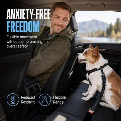 🐶🚗 Ceinture de sécurité réfléchissante et élastique pour animaux de compagnie – Système de retenue réglable pour voiture avec amortisseur de chocs
