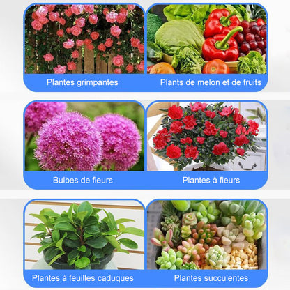 🌿 Solution nutritive universelle pour plantes en pot fleuries – Des racines solides, des fleurs éclatantes ! 🌸✨ La croissance parfaite, sans prise de tête. 💚🌱