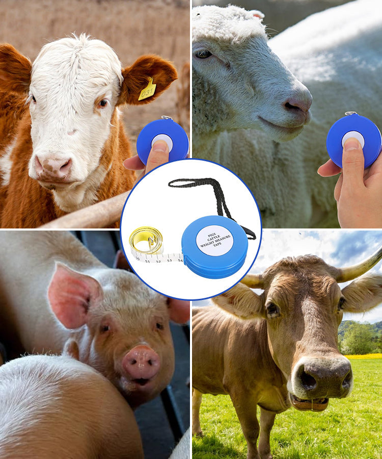 uban de mesure du poids des animaux pour bovins et porcins