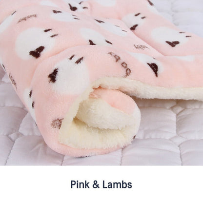 🐾Soldes exceptionnels 50 % de réduction🐱2025 Nouvelle couverture pour animaux de compagnie ultra confortable et apaisante