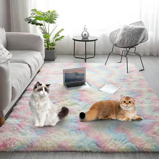 🔥 Tapis de sol en peluche à couleurs dégradées