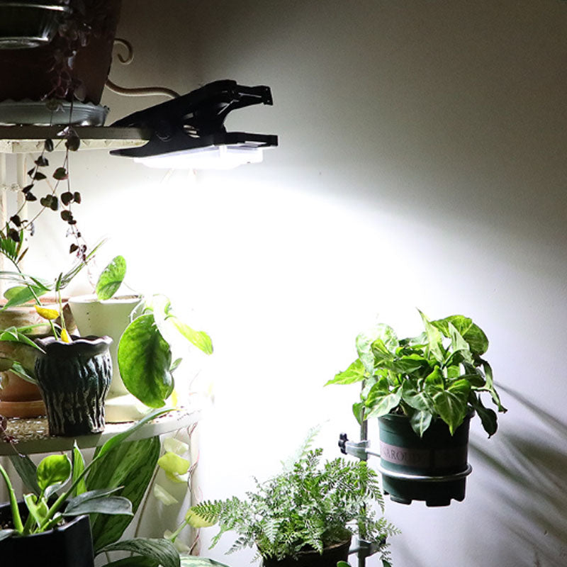 🔥Soldes🔥Lampes solaires d'extérieur à pince avec détecteur de mouvement