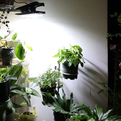 🔥Soldes🔥Lampes solaires d'extérieur à pince avec détecteur de mouvement