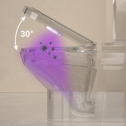 Lampe de désinfection mini pour toilettes intelligentes domestiques"
