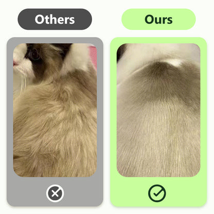 🎉  🫧Gants de nettoyage sans rinçage pour animaux de compagnie