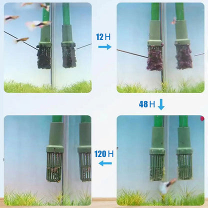 Algicide efficace pour aquarium🌿