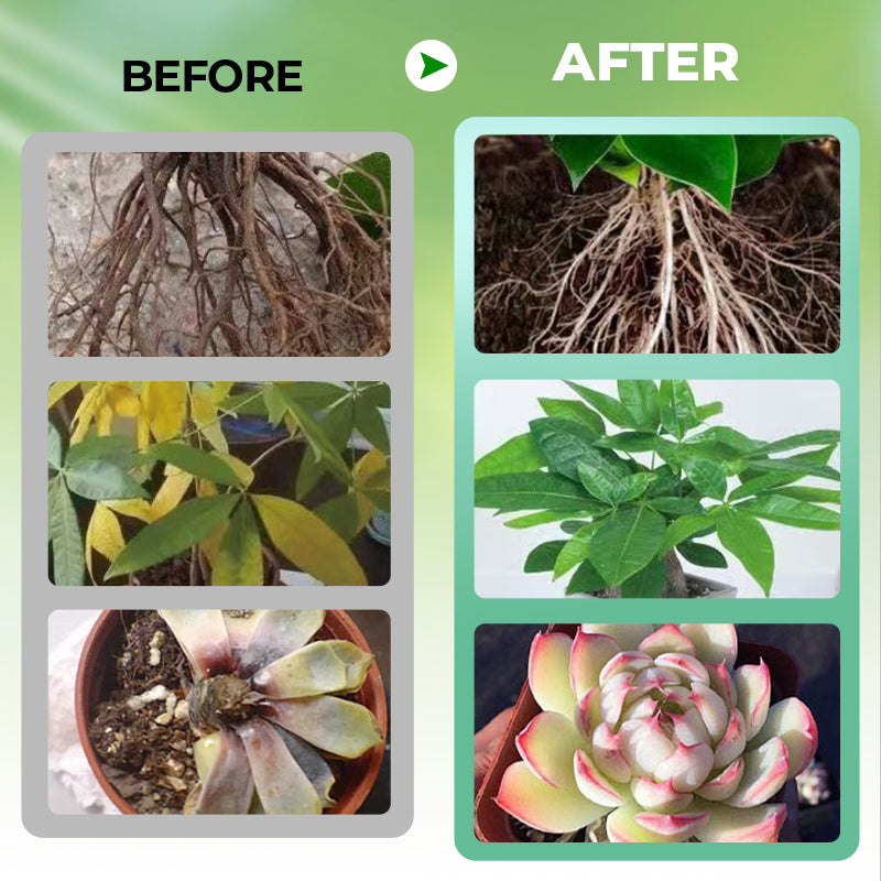 ⌛limited-time 50% off🔥Hydroponic Plant Nutrient Solution