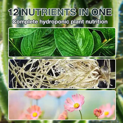 ⌛limited-time 50% off🔥Hydroponic Plant Nutrient Solution