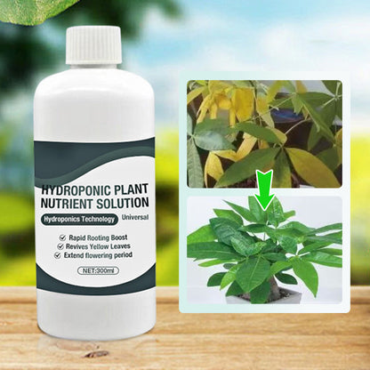 ⌛limited-time 50% off🔥Hydroponic Plant Nutrient Solution
