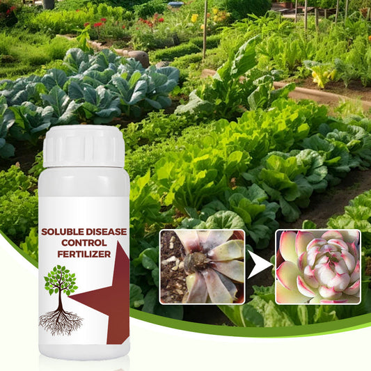 🌺Engrais soluble pour le contrôle des maladies🌱🛡️